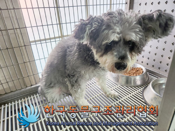 종료(안락사) 믹스…